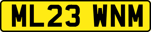 ML23WNM