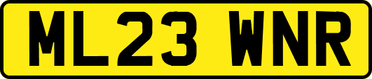 ML23WNR