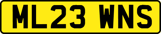ML23WNS