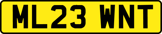 ML23WNT