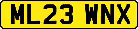 ML23WNX