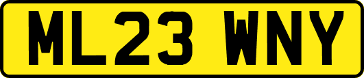 ML23WNY