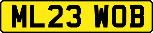 ML23WOB