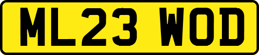 ML23WOD