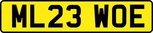 ML23WOE