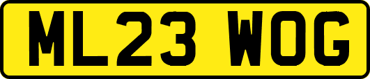 ML23WOG