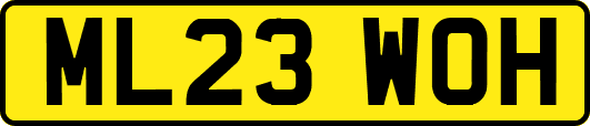 ML23WOH