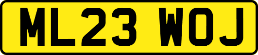 ML23WOJ