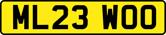 ML23WOO