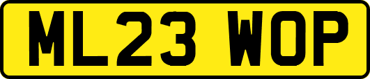 ML23WOP