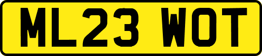 ML23WOT