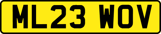 ML23WOV