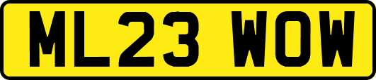 ML23WOW