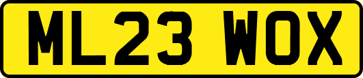 ML23WOX