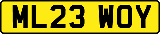 ML23WOY