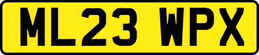 ML23WPX