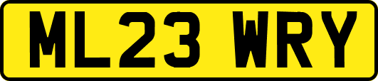 ML23WRY