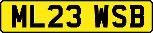 ML23WSB