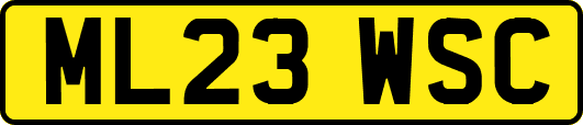 ML23WSC