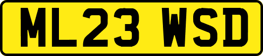 ML23WSD