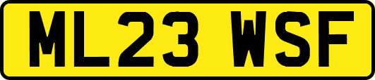 ML23WSF