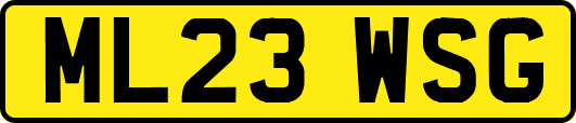 ML23WSG