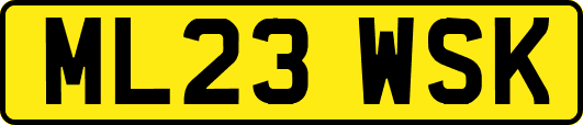ML23WSK