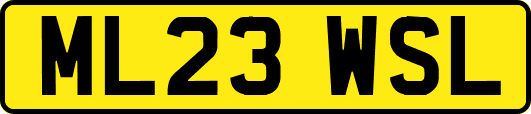 ML23WSL