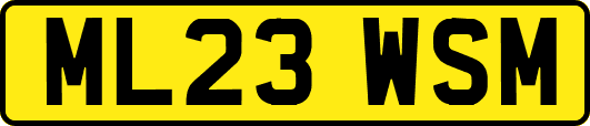 ML23WSM