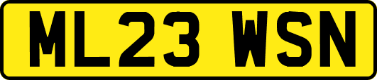 ML23WSN
