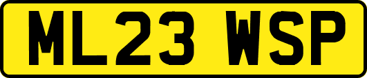 ML23WSP