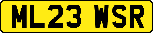 ML23WSR