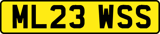 ML23WSS