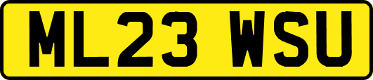 ML23WSU