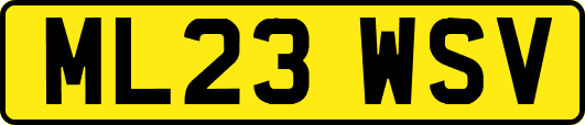 ML23WSV