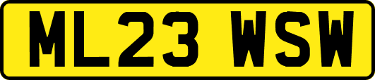 ML23WSW