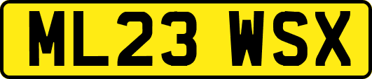 ML23WSX