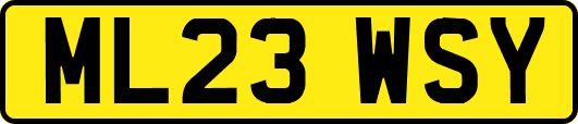 ML23WSY