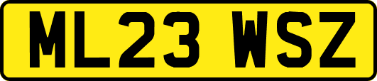 ML23WSZ