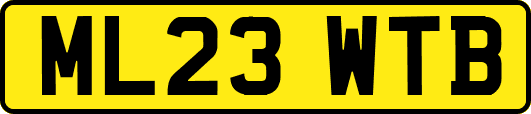 ML23WTB