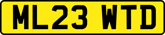 ML23WTD