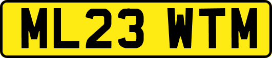 ML23WTM