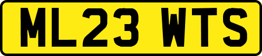 ML23WTS