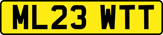 ML23WTT