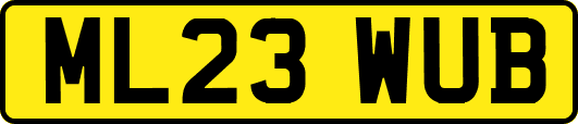 ML23WUB