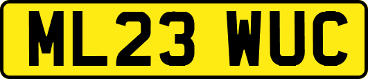 ML23WUC