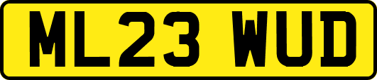 ML23WUD