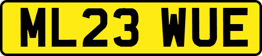 ML23WUE