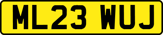 ML23WUJ