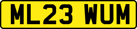 ML23WUM